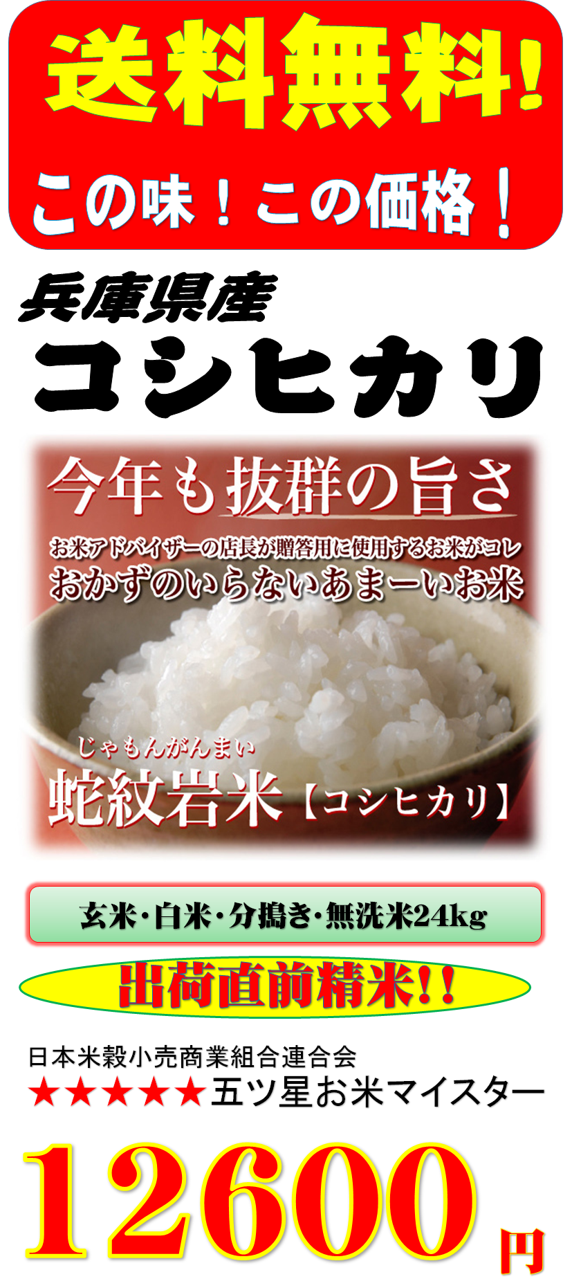 人気の製品 新米 コシヒカリ 酵素米 お米 玄米５ｋｇ 標準 白米に精米